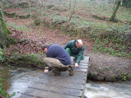 pont-finition.JPG