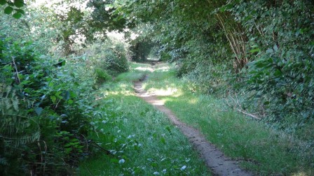 la-petite-ligne2.jpg